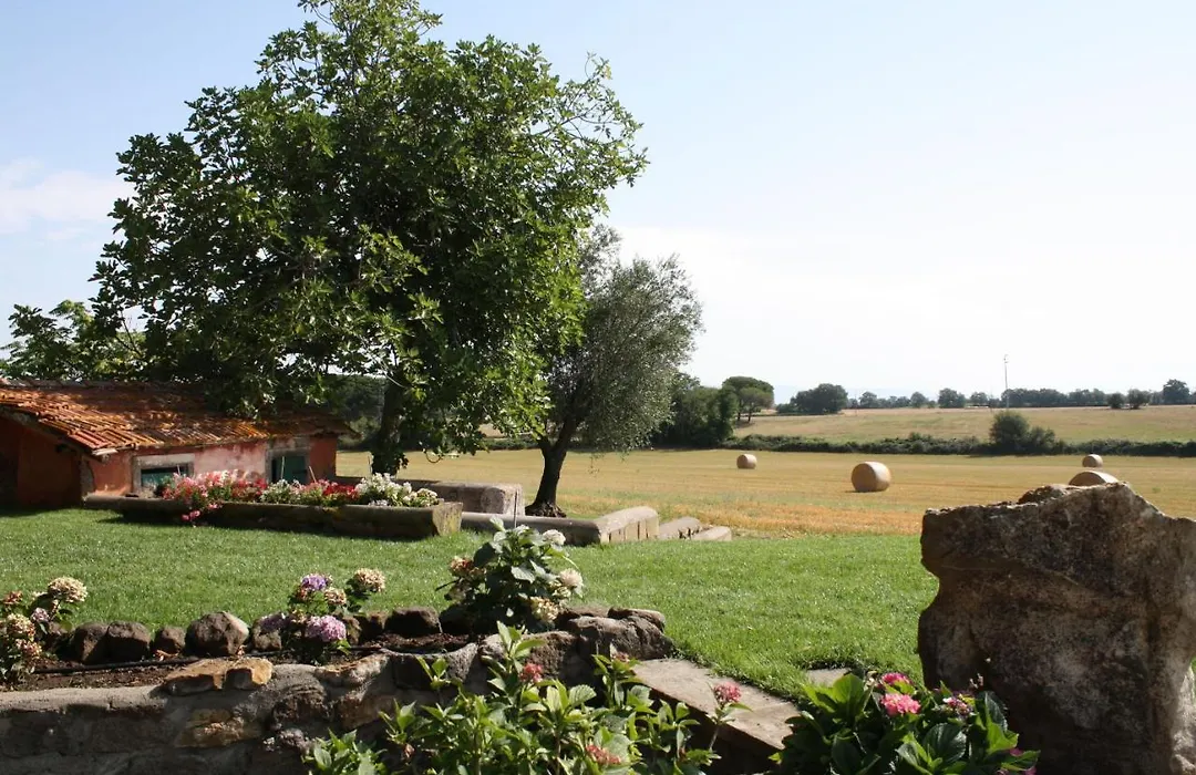 Ippocastano B&B-1