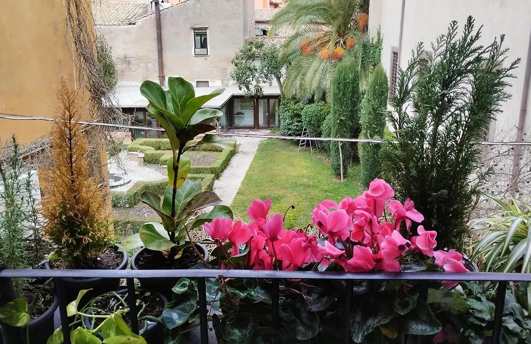 Ottantotto Viterbo-1