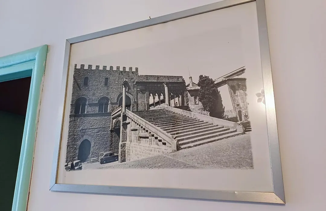 Il Giardino delle Camelie-1