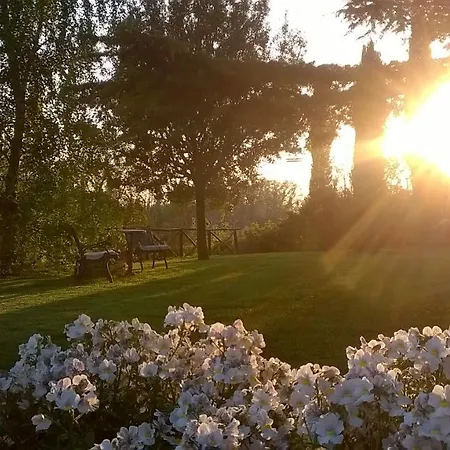 B&B La Casa della Nonna-3