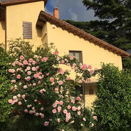 B&B La Casa della Nonna-2