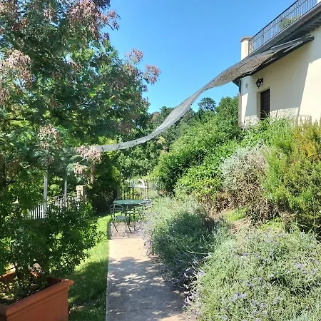 Villa Degli Ulivi-2