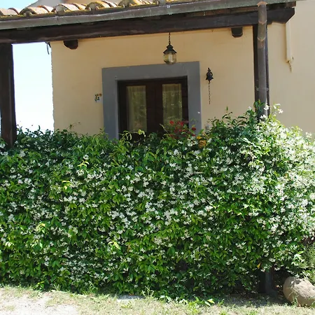 Agriturismo Tenuta Serpepe-3